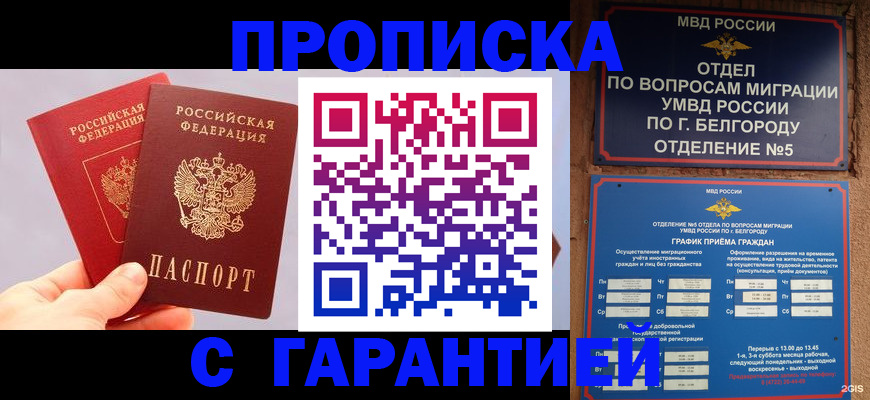 прописка 2025 в Николаевске-на-Амуре